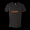 6010 - Next Level Unisex Tri-blend Short Sleeve T-shirt Thumbnail