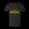 6010 - Next Level Unisex Tri-blend Short Sleeve T-shirt Thumbnail