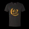 6010 - Next Level Unisex Tri-blend Short Sleeve T-shirt Thumbnail