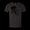6010 - Next Level Unisex Tri-blend Short Sleeve T-shirt Thumbnail