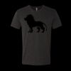 6010 - Next Level Unisex Tri-blend Short Sleeve T-shirt Thumbnail