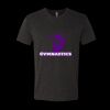 6010 - Next Level Unisex Tri-blend Short Sleeve T-shirt Thumbnail