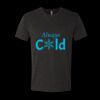 6010 - Next Level Unisex Tri-blend Short Sleeve T-shirt Thumbnail
