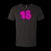 6010 - Next Level Unisex Tri-blend Short Sleeve T-shirt Thumbnail