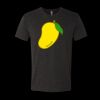 6010 - Next Level Unisex Tri-blend Short Sleeve T-shirt Thumbnail