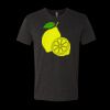 6010 - Next Level Unisex Tri-blend Short Sleeve T-shirt Thumbnail