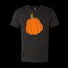 6010 - Next Level Unisex Tri-blend Short Sleeve T-shirt Thumbnail