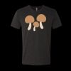 6010 - Next Level Unisex Tri-blend Short Sleeve T-shirt Thumbnail