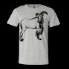3001CVC - Bella Canvas - 50/50 Blend Short Sleeve T-shirt Thumbnail