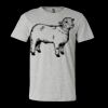 3001CVC - Bella Canvas - 50/50 Blend Short Sleeve T-shirt Thumbnail